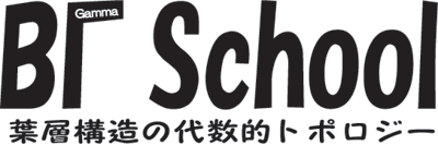 BGamma-logo