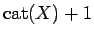 $ {\rm cat}(X)+1$