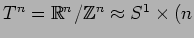 $ T^n = \mathbb{R}^n/\mathbb{Z}^n \approx S^1 \times (n$
