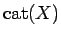 $ \mathrm{cat}(X)$
